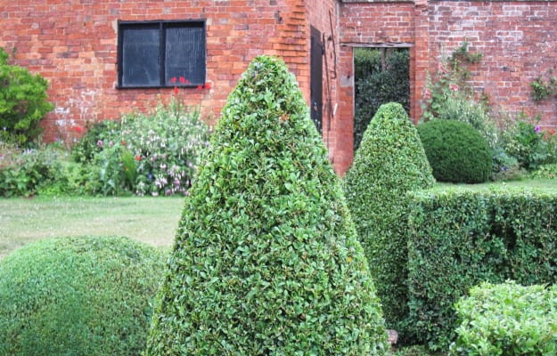 Professional Garden Landscapers Hedges Northampton Northamptonshire Northants